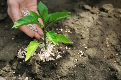 США офіційно зняли санкції проти одного з головних промислових підприємств Білорусі