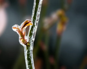 Холод та вітер: українців засмутили прогнозом на понеділок