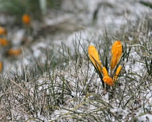 Синоптики засмутили прогнозом на вівторок